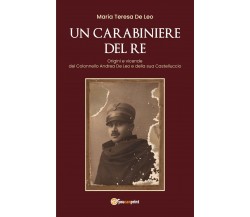 Un carabiniere del re. Origini e vicende del Colonnello Andrea De Leo e della...