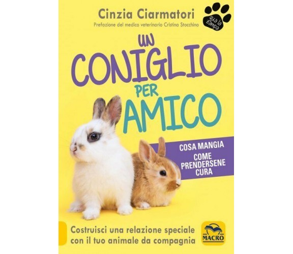 Un coniglio per amico. Costruisci una relazione speciale con il tuo animale da c