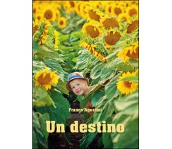 Un destino	 di Franco Agostini,  2014,  Youcanprint