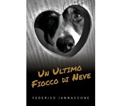 Un ultimo fiocco di neve	 di Federico Iannaccone,  2019,  Youcanprint