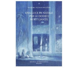 Una luce di Natale per le dodici notti sante di Ingeborg Pilgram-brückner,  2021
