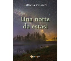 Una notte da estasi, Raffaella Villaschi,  2016,  Youcanprint