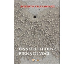Una solitudine piena di voci	 di Roberto Valcamonici,  2015,  Youcanprint