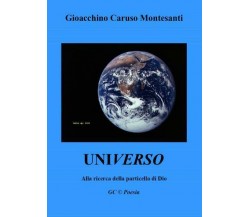 Universo Alla ricerca della particella di Dio di Gioacchino Caruso,  2022,  Youc