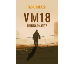 VM 18 di Fabio Palazzi, 2023, Youcanprint