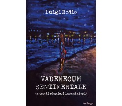 Vademecum sentimentale (a uso di elegiaci incantatori) di Luigi Rodio,  2020,  Y