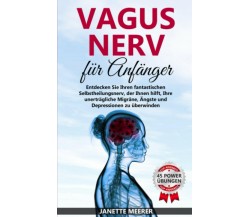 Vagus Nerv Wie Sie Durch Die Fantastische Selbstheilung Ihre Unerträgliche Migrä