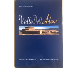 Valle dell'Aleso di Nuccio Lo Castro, 2007, FFG