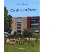 Veneti in controluce di Ausilio Bertoli - Fernandel, 2022