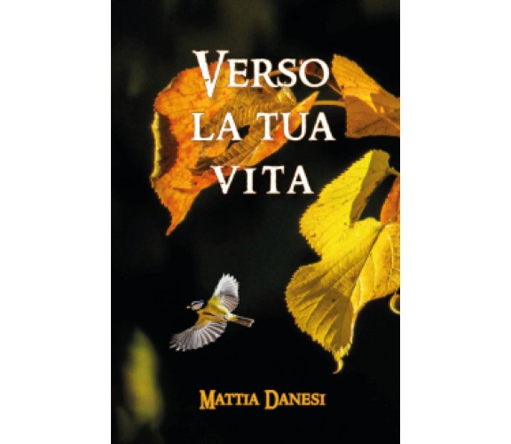 Verso la tua vita di Mattia Danesi,  2019,  Youcanprint