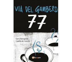 Via del gambero 77  di Sara Garagnani, Camilla De Concini,  2017,  Youcanpri- ER