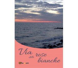 Via delle rose bianche	 di Ilaria Cancelli,  2016,  Youcanprint