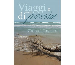 Viaggi e versi di poesia di Giosuè Forleo,  2019,  Youcanprint