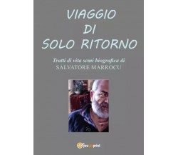 Viaggio di solo ritorno di Salvatore Marrocu, 2023, Youcanprint