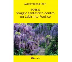 Viaggio fantastico Dentro un Labirinto Poetico	 di Massimiliana Pieri,  2016