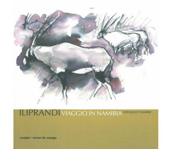 Viaggio in Namibia di Giancarlo Iliprandi,  2011,  Nuages