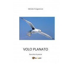 Volo planato di Michele Frangiamore,  2016,  Youcanprint