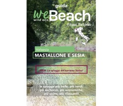 WeBeach. Mastallone e Sesia di Filippo Tuccimei, 2020, Youcanprint