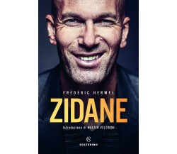 Zidane - Frédéric Hermel - Solferino, 2020