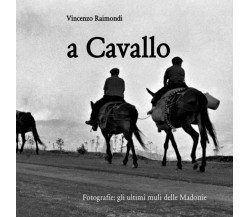 a Cavallo: Fotografie: gli ultimi muli delle Madonie di Dr Vincenzo Raimondi,  2
